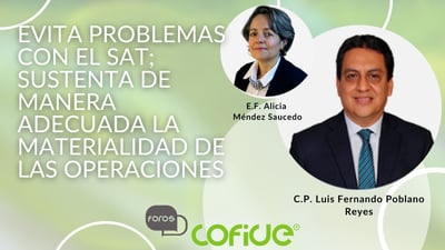 C.P. Luis Fernando Poblano Reyes-2
