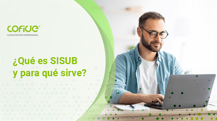 ¿Qué es el SISUB y para qué sirve?