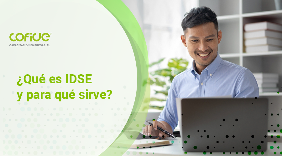 ¿Qué es IDSE y para qué sirve?